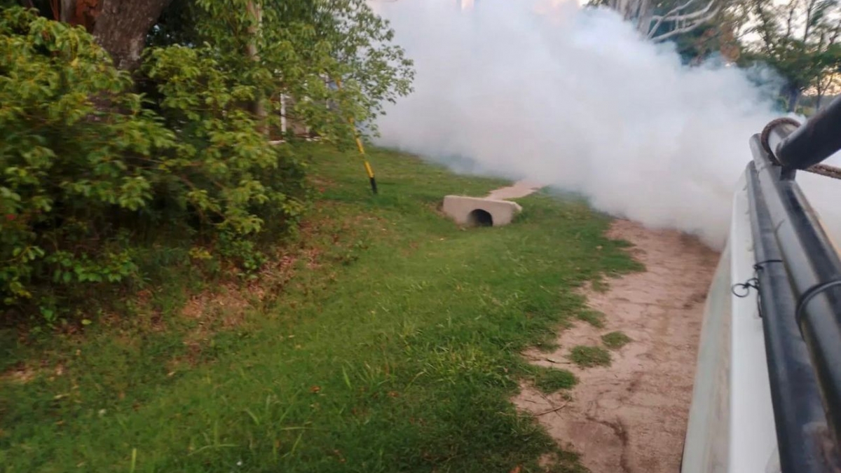 Fumigacin en los barrios para prevenir el Dengue